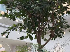 -大树餐厅(红旗街万达店)
