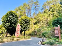 -白云山风景名胜区