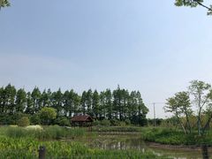 -上海长兴岛郊野公园
