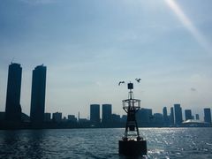 -苏大嘴海鲜牧场(奥林匹克店)