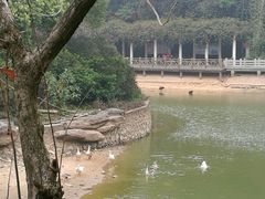 -广州市帽峰山景区