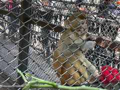 -长白岛森林公园