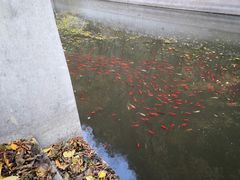 -上方山云水洞
