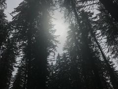 -硗碛藏寨·神木垒景区