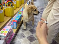 -饶福记·南昌烧烤大排档(九龙湖土著店)