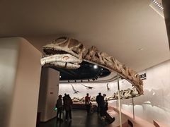 -自贡恐龙博物馆