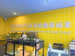 -神奇动物撸宠馆·羊驼·小浣熊·异宠(豫园店)