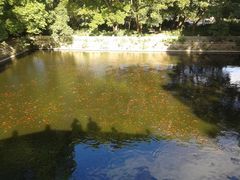 -普陀山风景名胜区-法雨禅寺