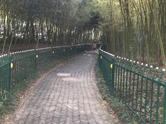 -昆山城市公园