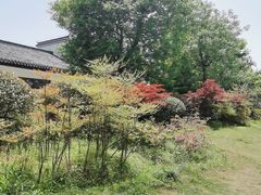 -涵家味土菜馆·徽州一绝臭鳜鱼(三河古镇店)
