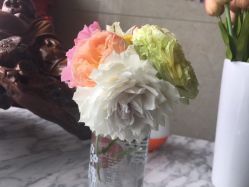 -悦芳庭美肤美体品牌集合店