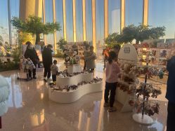 点击看大图 -IMON·HANSA潮玩玩偶毛绒玩具(通州万象汇店)