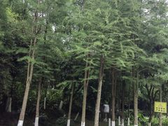-重庆彩云湖湿地公园