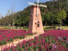 -顺峰山公园