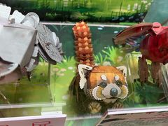 -正佳雨林生态植物园