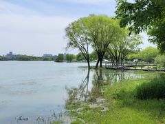 -长广溪湿地公园