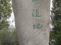 -溱湖国家湿地公园