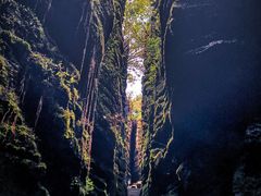 -梭布垭石林景区