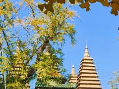 -北京石刻艺术博物馆(五塔寺)
