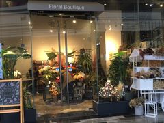 -植物学家的女儿(北马道巷店)