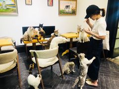 -猫色咖啡·猫咖
