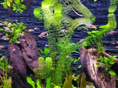 -上海海洋水族馆