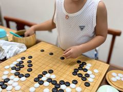 -秦汉胡同古筝围棋国学书院(罗湖分馆)