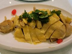 白斩鸡-金米箩大酒店(五角场店)