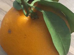 -廣蓮申·點心便利店(美罗城店)