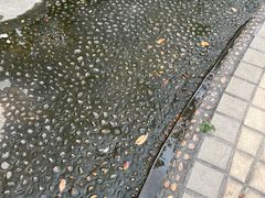 -光明农场大观园