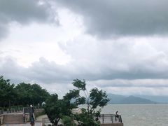 -深圳湾公园(南山区)