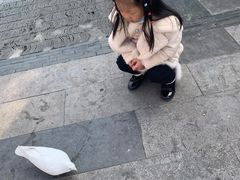 -合肥融创乐园