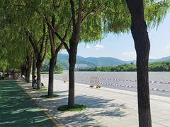 -江心岛
