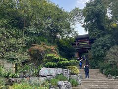 -中国茶叶博物馆(双峰馆区)