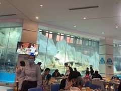 -帝企鹅自助餐厅•儿童岛•真企鹅(长隆企鹅酒店)