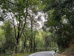 -广州市白云山风景名胜区