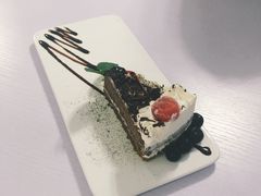 -喵的天空名猫咖啡馆·撸猫·猫舍·用品