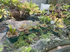 -国家植物园南园