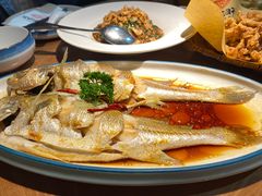 -波螺油子·海肠捞饭·青岛菜(银座店)