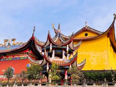 -南山植物园