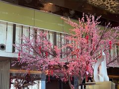 大堂-金轩中餐厅 Jin Xuan(浦东丽思卡尔顿酒店)