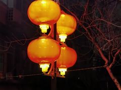 -金谷园饺子馆(北邮总店)