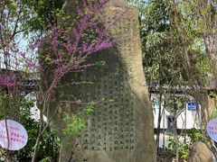 -南汇桃花村