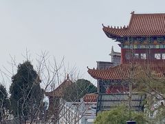 -长沙黑麋峰国家森林公园