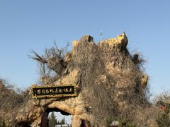 -大槐树寻根祭祖园