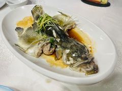 -寻味顺德·南记酒家·传统顺德菜·鱼生(广源路店)