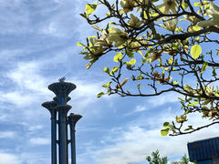 -北京奥林匹克公园
