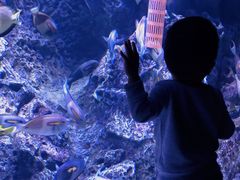 -成都浩海立方海洋公园