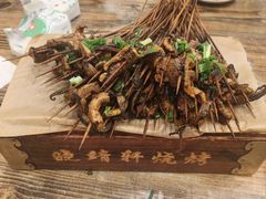 -晓靖轩烧烤(沙河风情店)
