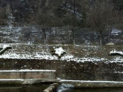 -少华山国家森林公园